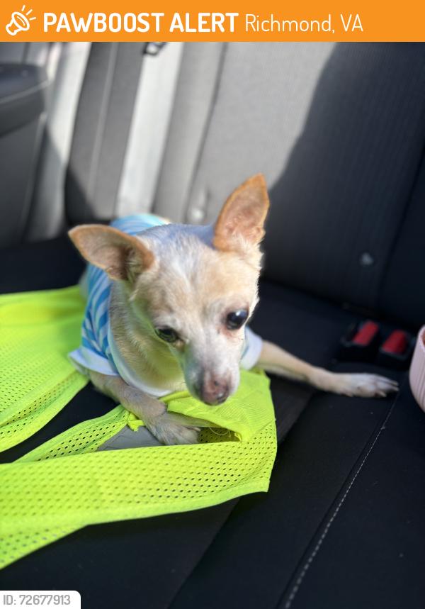 Found/Stray Male Dog last seen Broad rock , Richmond, VA 23224