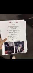 Lost Female Dog last seen Austin pwy , Memphis, TN 38128