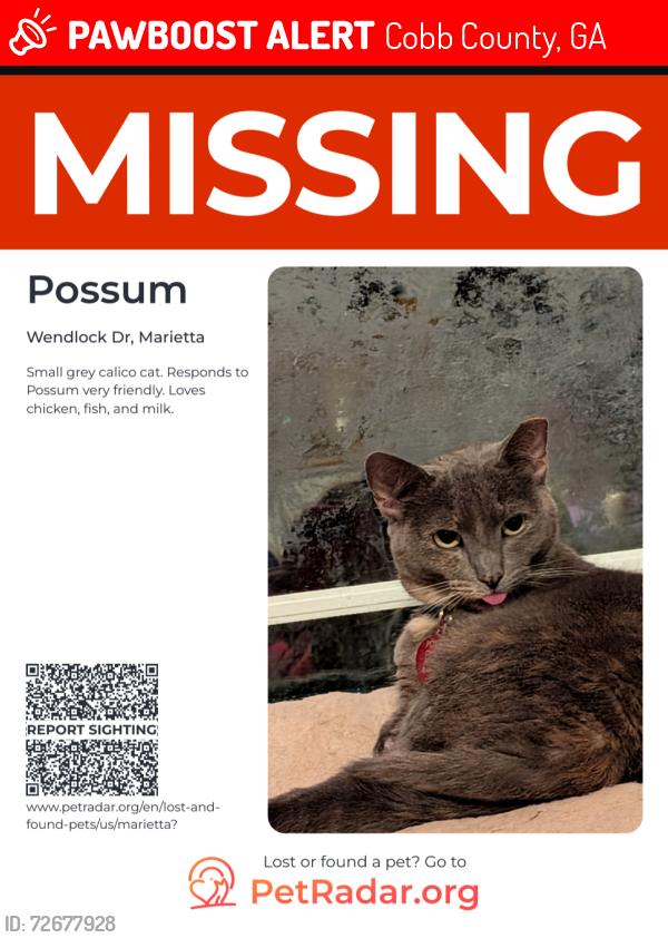 Lost Female Cat last seen Wendwood subdivision and Rangers Gate subdivision , Cobb County, GA 30062