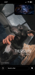 Lost Female Dog last seen Mountain stop store , Boone, NC 28607