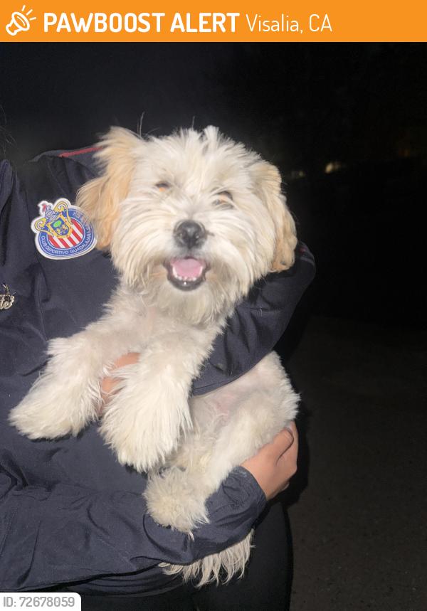 Found/Stray Female Dog last seen Giddings , Visalia, CA 93291