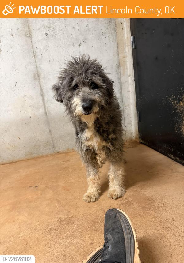 Found/Stray Unknown Dog last seen Rt 66, Lincoln County, OK 74881