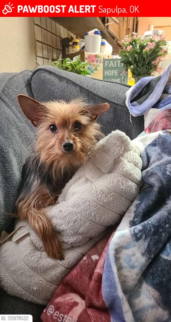 Lost Female Dog last seen Near south division st sapulpa ok , Sapulpa, OK 74066