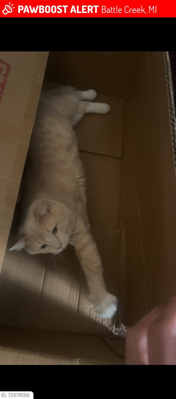 Lost Male Cat last seen Apparently under our porch but my dad said he hasn’t seen him under there since this morning , Battle Creek, MI 49014