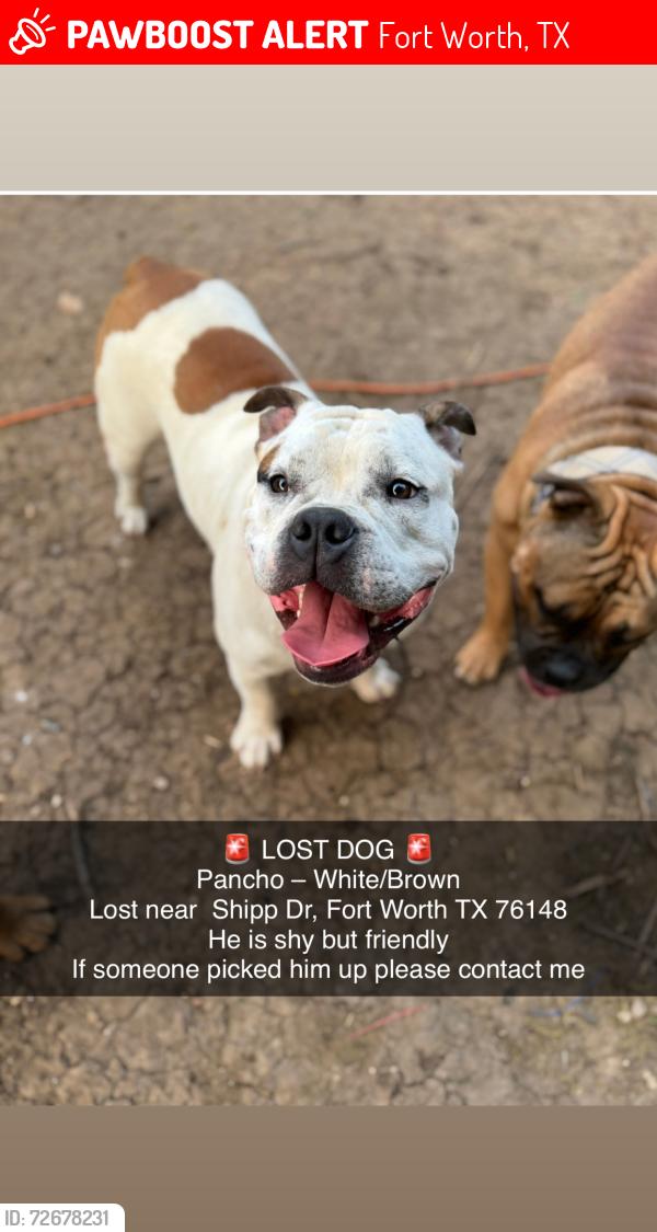 Lost Male Dog last seen Maurie Dr 76148 , Fort Worth, TX 76148