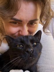 Lost Male Cat last seen Miners Ranch Storage, Oroville, CA 95966