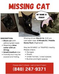 Lost Female Cat last seen N Seine Ave highland CA 92346, Highland, CA 92346