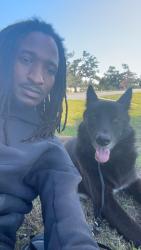 Lost Male Dog last seen Luckey land, Lake View, SC 29563