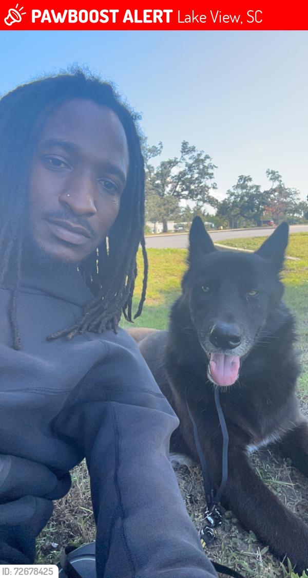 Lost Male Dog last seen Luckey land, Lake View, SC 29563