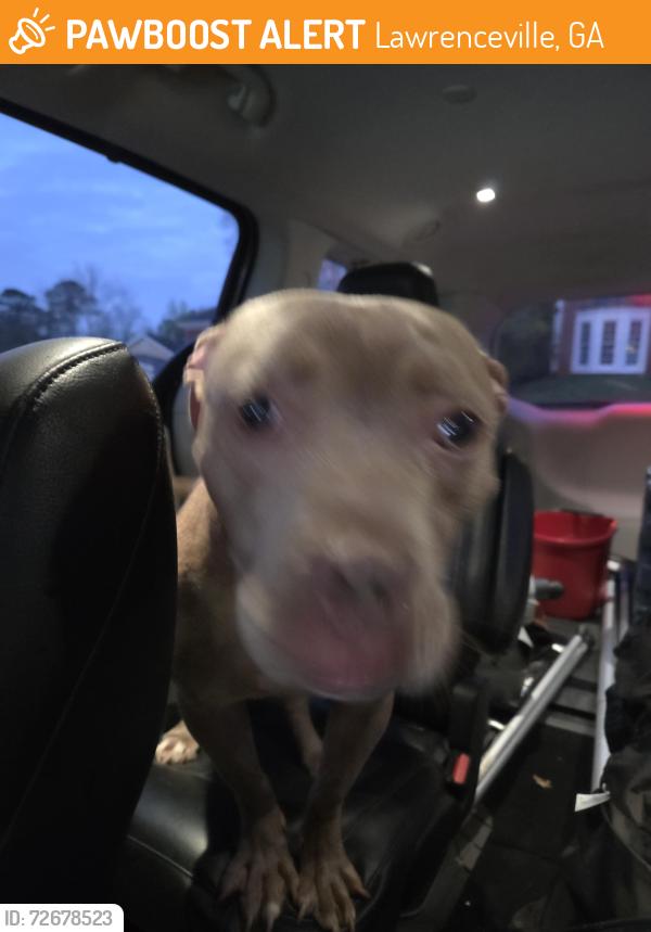 Found/Stray Female Dog last seen 1217-1287 GA-317, Lawrenceville, GA 30043, Lawrenceville, GA 30043