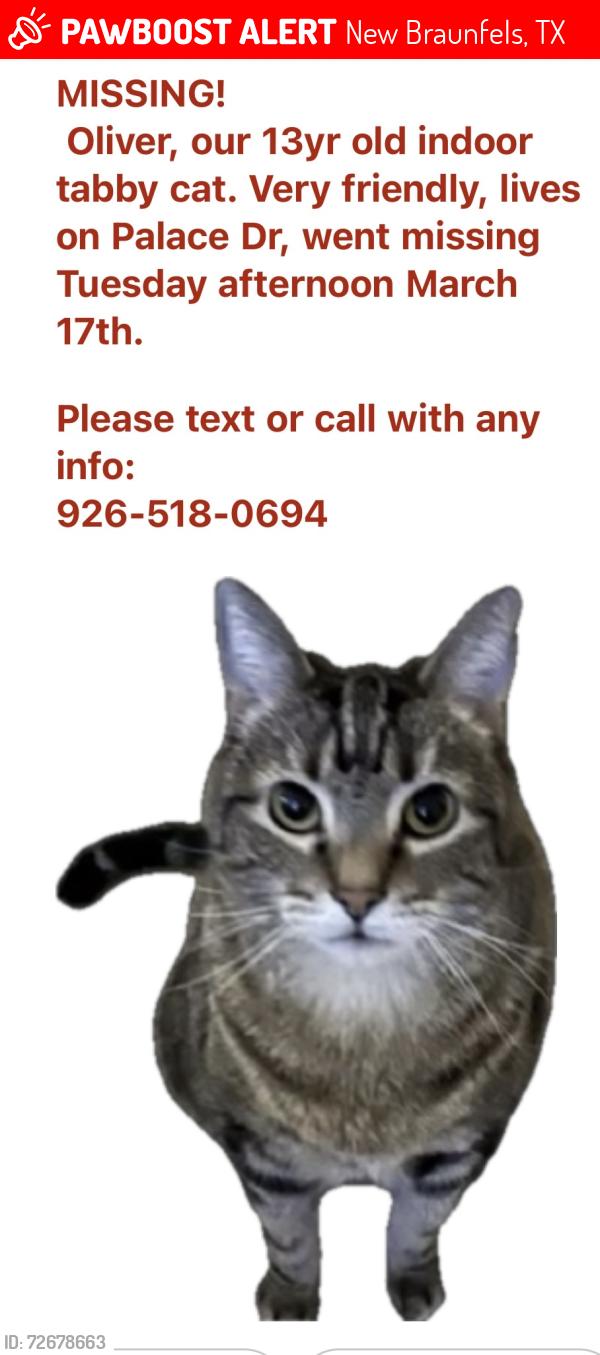 Lost Male Cat last seen Crown circle, New Braunfels, TX 78130