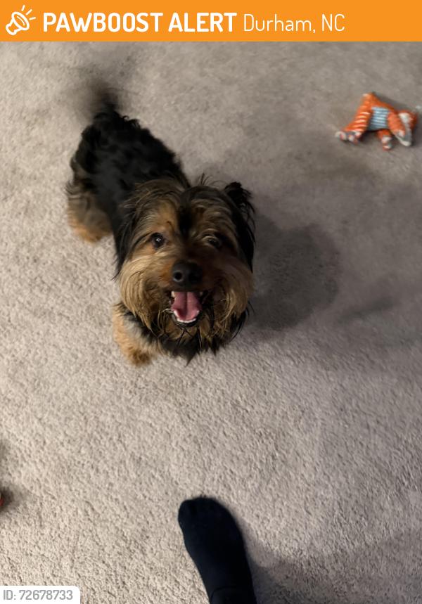 Found/Stray Male Dog last seen Near and Southpoint Trace, Durham, NC 27713