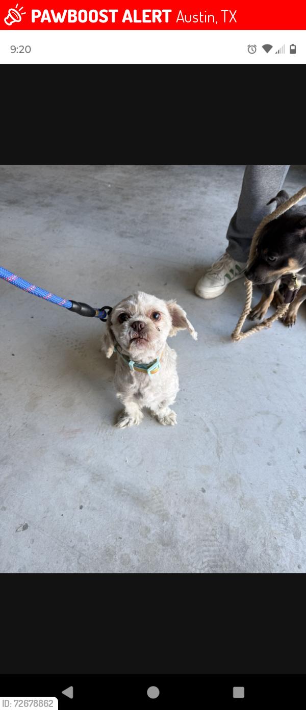 Lost Male Dog last seen Harris Branch, Austin, TX 78754
