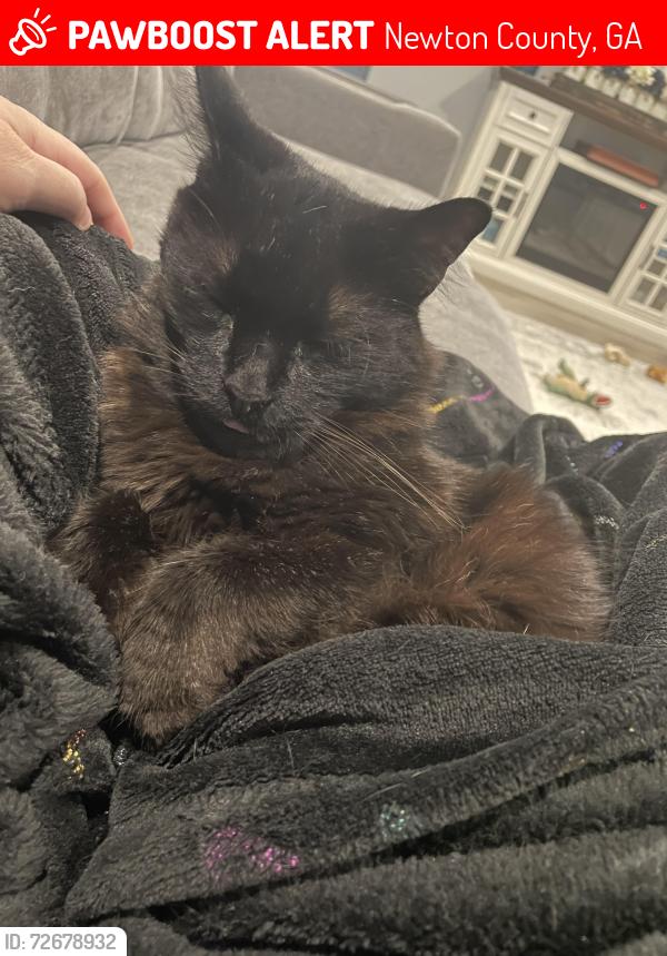 Lost Male Cat last seen Digby Road, Henderson Mill Road and Bates Road, Newton County, GA 30014