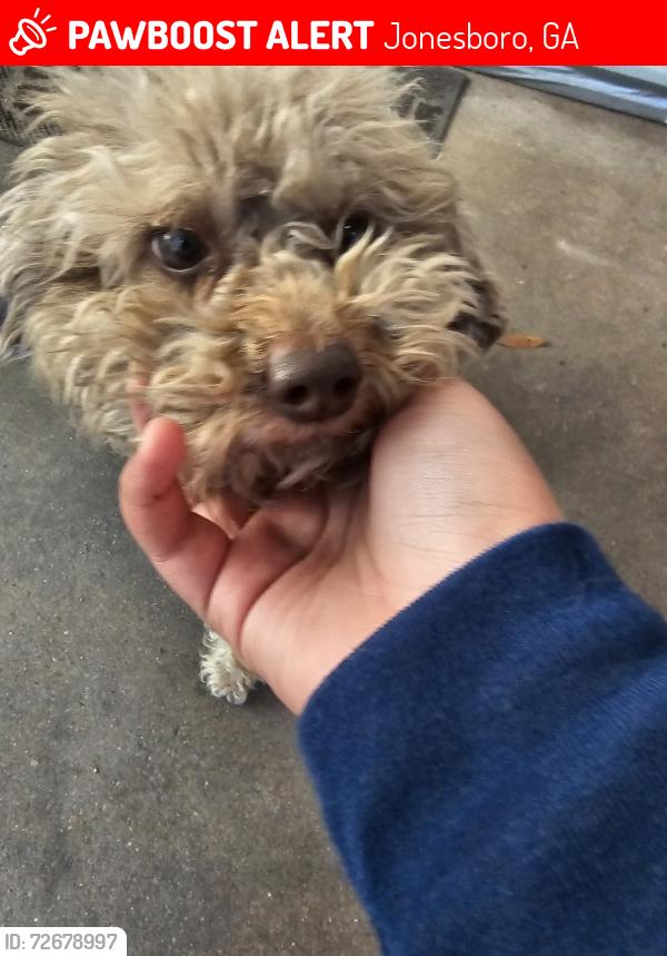 Lost Male Dog last seen Kendrick st, Jonesboro, GA 30238