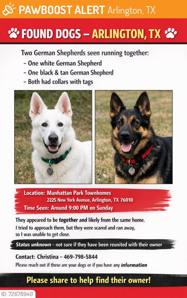 Found/Stray Unknown Dog last seen New York and Arkansas , Arlington, TX 76010