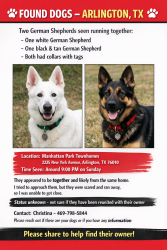 Found/Stray Unknown Dog last seen New York and Arkansas , Arlington, TX 76010