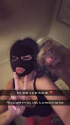 Lost Female Dog last seen 14th lola, Lubbock, TX 79416