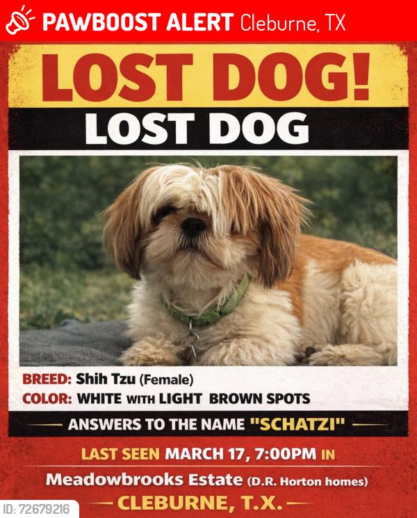 Lost Female Dog last seen Meadowbrooks D H Mortgage hses , Cleburne, TX 76033