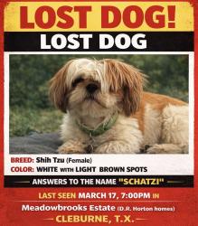 Lost Female Dog last seen Meadowbrooks D H Mortgage hses , Cleburne, TX 76033