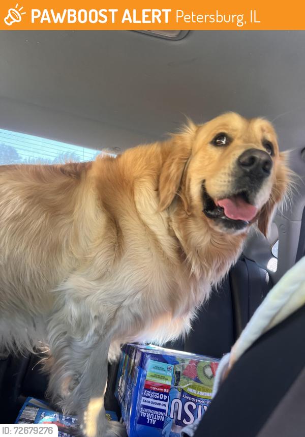 Found/Stray Male Dog last seen Near new Salem attraction, Petersburg, IL 62675