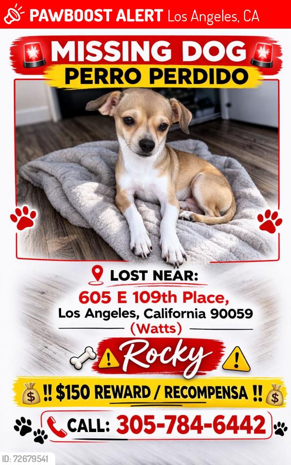 Lost Male Dog last seen 109th / Avalon, Los Angeles, CA 90059