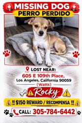 Lost Male Dog last seen 109th / Avalon, Los Angeles, CA 90059