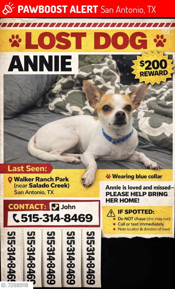 Lost Female Dog last seen Near West Ave San Antonio, TX  78216 United States, San Antonio, TX 78207
