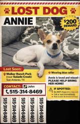 Lost Female Dog last seen Near West Ave San Antonio, TX  78216 United States, San Antonio, TX 78207