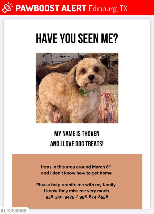 Lost Male Dog last seen Sprague , Edinburg, TX 78542