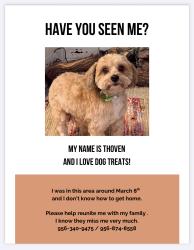 Lost Male Dog last seen Sprague , Edinburg, TX 78542