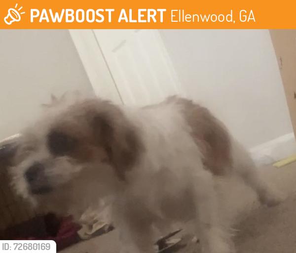 Found/Stray Unknown Dog last seen Grant road, Ellenwood, GA 30294
