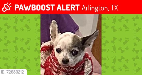 Lost Male Dog last seen Border and Collin’s, Arlington, TX 76010