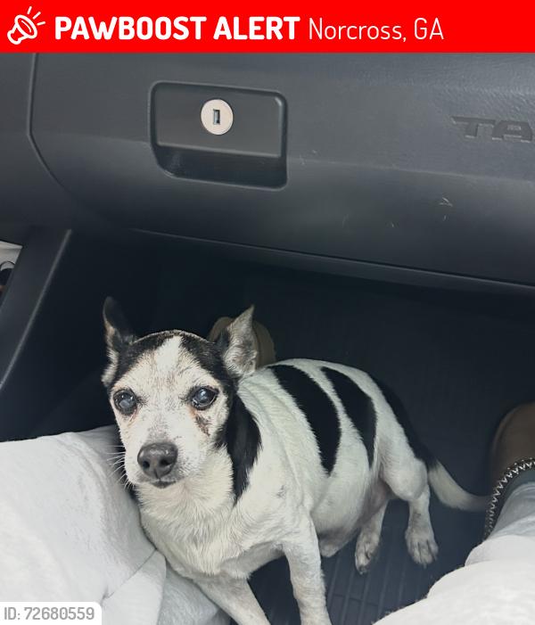 Lost Male Dog last seen Near Caesars Way Norcross GA, Norcross, GA 30093