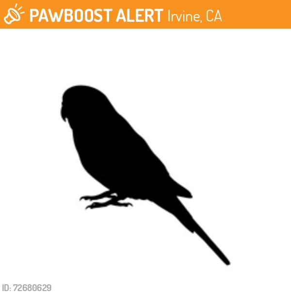 Found/Stray Unknown Bird last seen Great Park, Irvine, Irvine, CA 92618