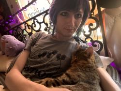 Lost Female Cat last seen Juniper and Pioneer, Morongo Valley, CA 92256