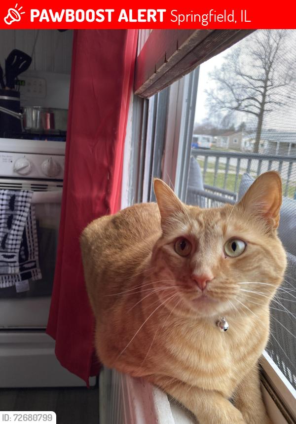 Lost Male Cat last seen Lincoln Memorial Gardens, Springfield, IL 62712