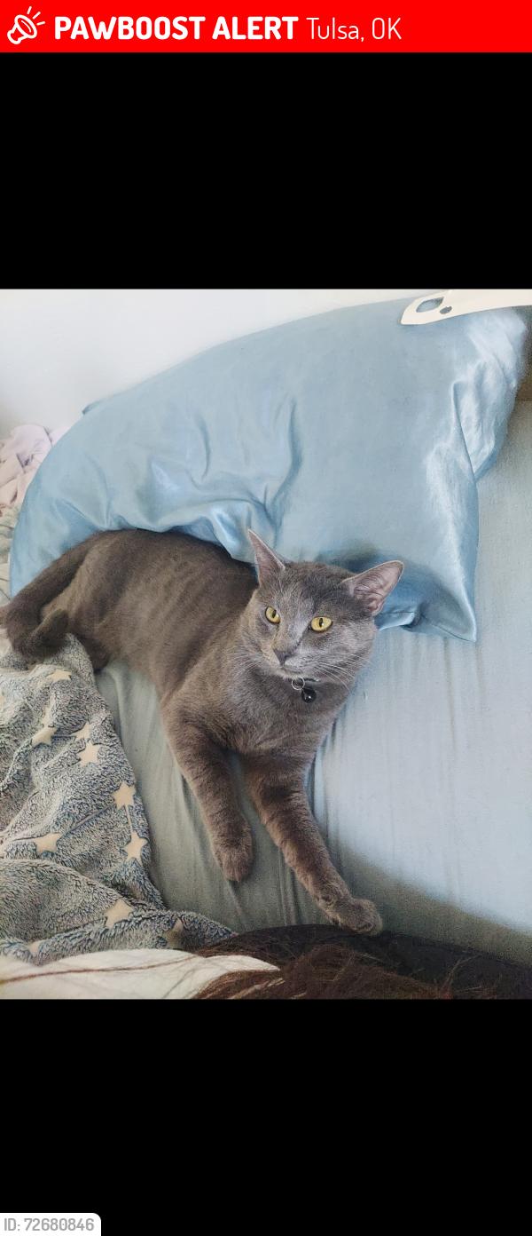 Lost Male Cat last seen 193rd and 3rd, Tulsa, OK 74108