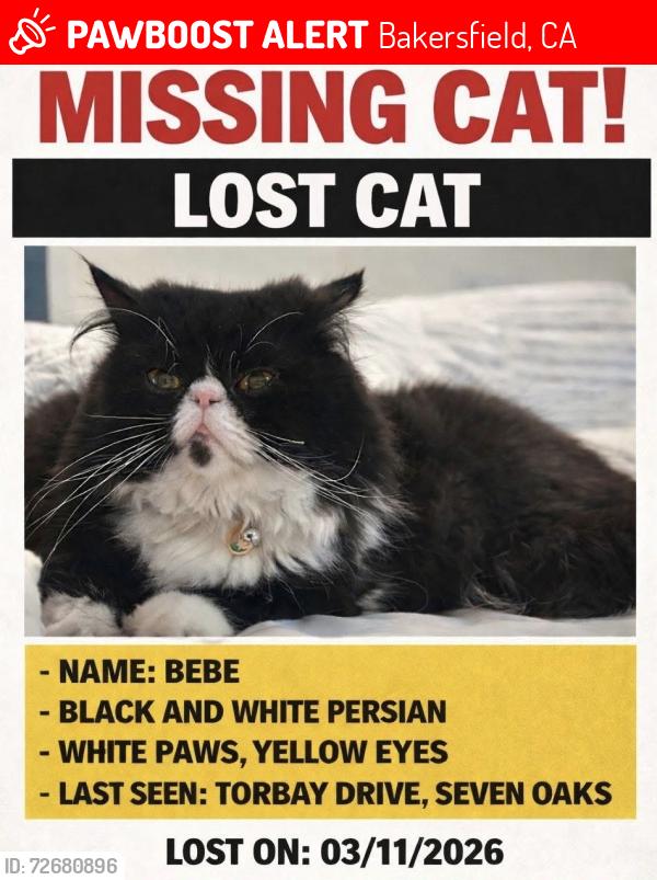Lost Male Cat last seen Torbay drive, seven oaks., Bakersfield, CA 93311