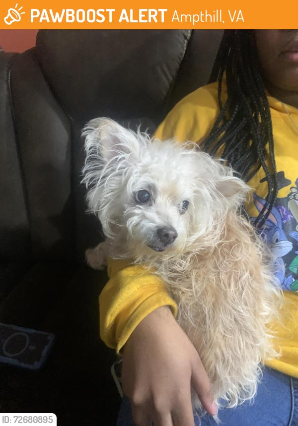 Found/Stray Female Dog last seen Near Nile’s rd, Ampthill, VA 23234