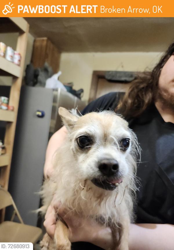 Found/Stray Male Dog last seen Honolulu and Poplar, Broken Arrow, OK 74012