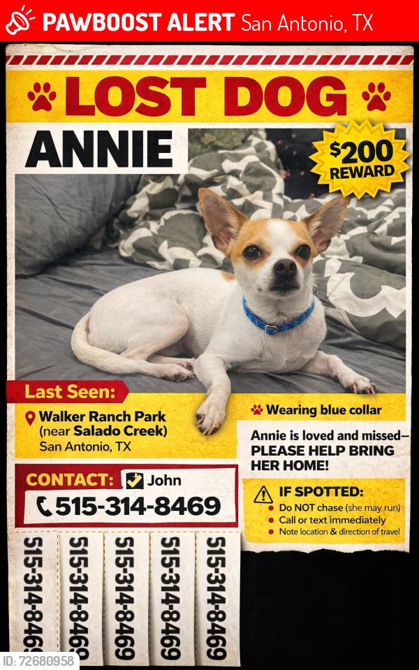 Lost Female Dog last seen Walker Ranch Park trail , San Antonio, TX 78216