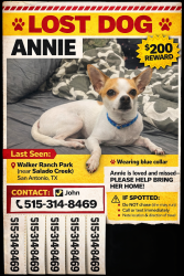 Lost Female Dog last seen Walker Ranch Park trail , San Antonio, TX 78216