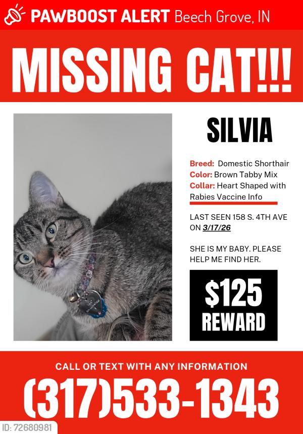 Lost Female Cat last seen South 4th and Bellefontaine , Beech Grove, IN 46107