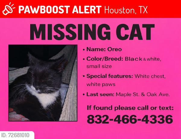 Lost Female Cat last seen Mona vista drive, Houston, TX 77016