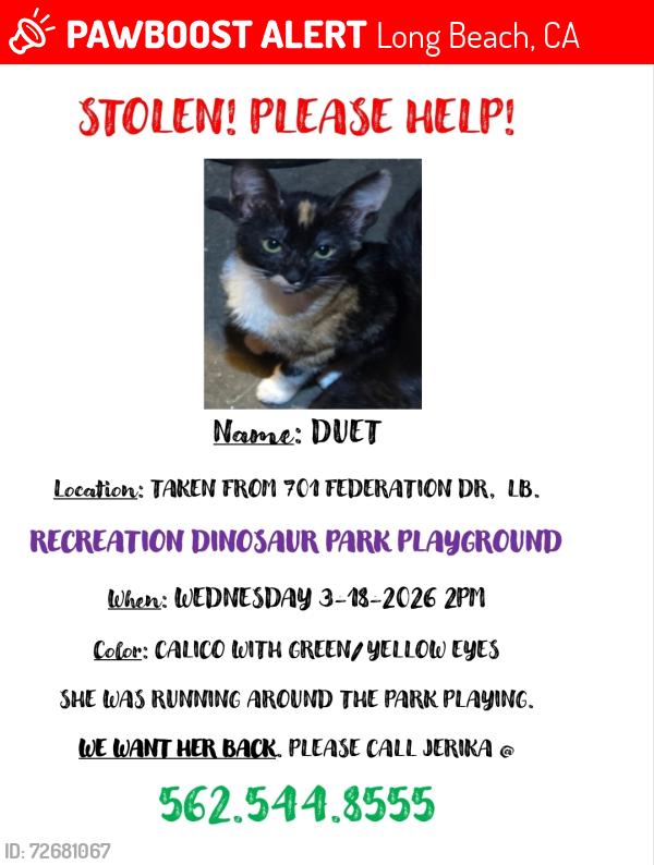 Lost Female Cat last seen Recreation Park , Long Beach, CA 90814