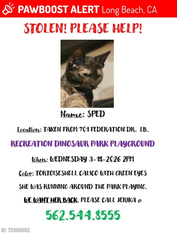 Lost Female Cat last seen Recreation Park , Long Beach, CA 90814