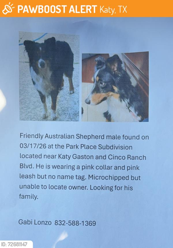 Found/Stray Male Dog last seen Katy Gaston and Cinco Ranch Blvd, Katy, TX 77494