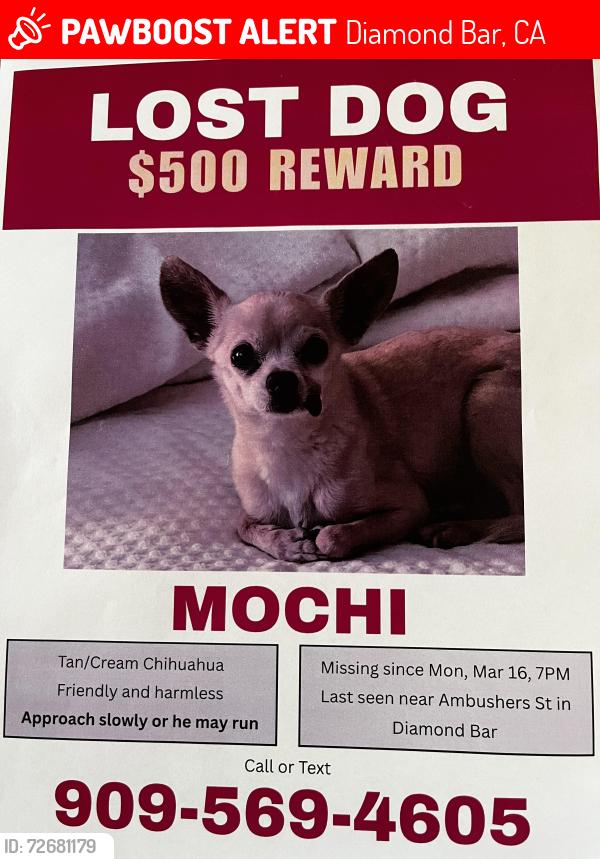 Lost Male Dog last seen Ambushers st and crooked creek, Diamond Bar, CA 91765