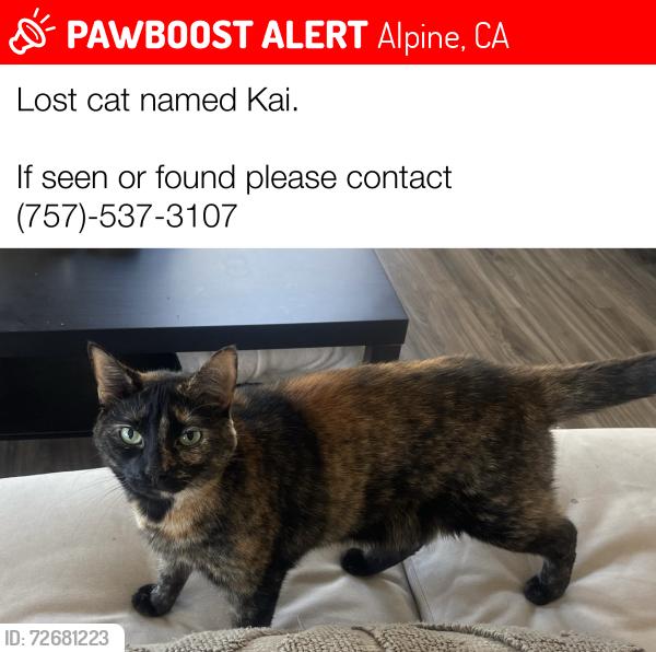 Lost Female Cat last seen Not far from Albertsons , Alpine, CA 91901